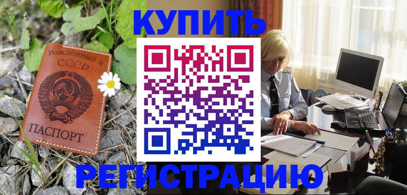 временная регистрация недорого в Тереке